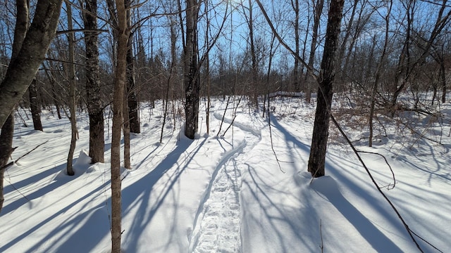 view of yard layered in snow