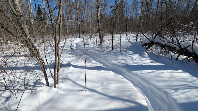 view of yard covered in snow