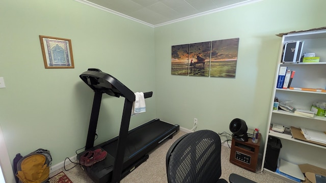 workout area featuring carpet floors, ornamental molding, and baseboards