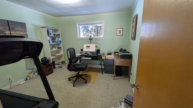 office with carpet flooring, crown molding, and baseboards