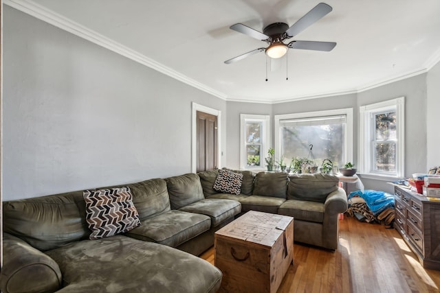 living room featuring ceiling fan, ornamental molding, and hardwood / wood-style floors