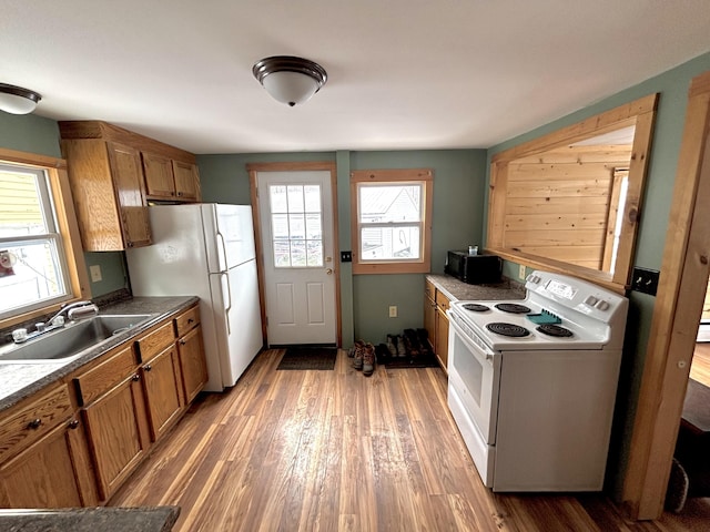 kitchen featuring white appliances, brown cabinets, wood finished floors, a sink, and a wealth of natural light