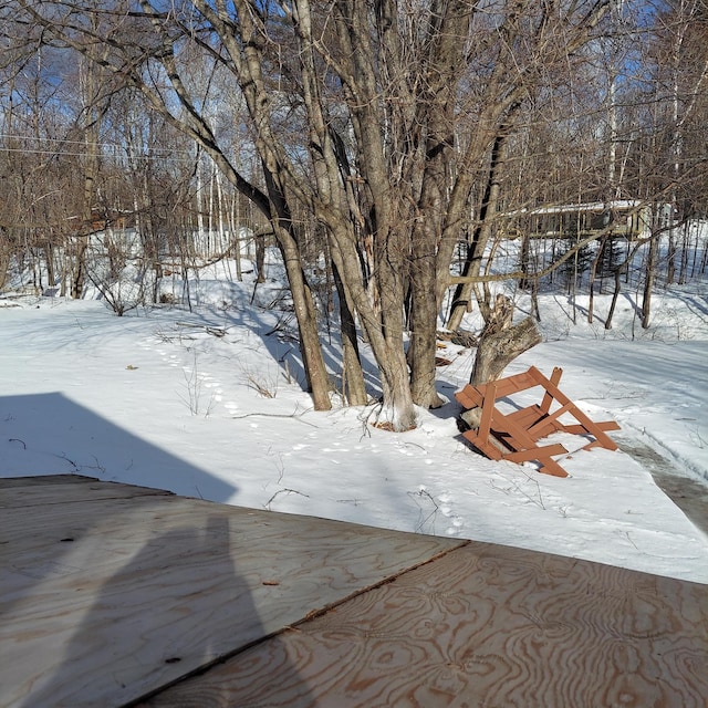 view of yard covered in snow