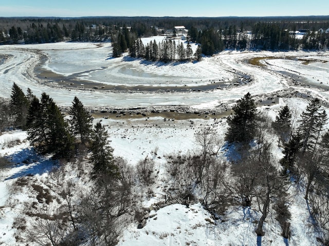 snowy aerial view featuring a view of trees