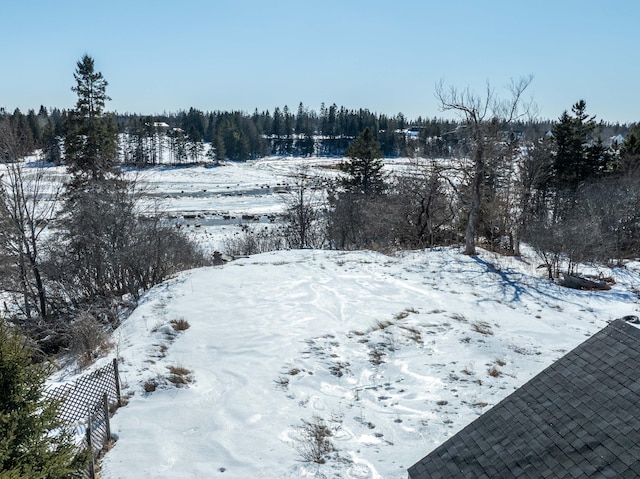 view of yard layered in snow