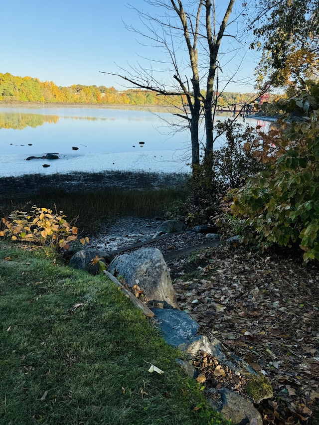 view of water feature