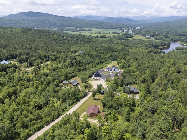 39 Katie View Rd, Bethel, ME 04217 - photo 87