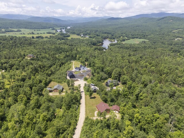 39 Katie View Rd, Bethel, ME 04217 - photo 88
