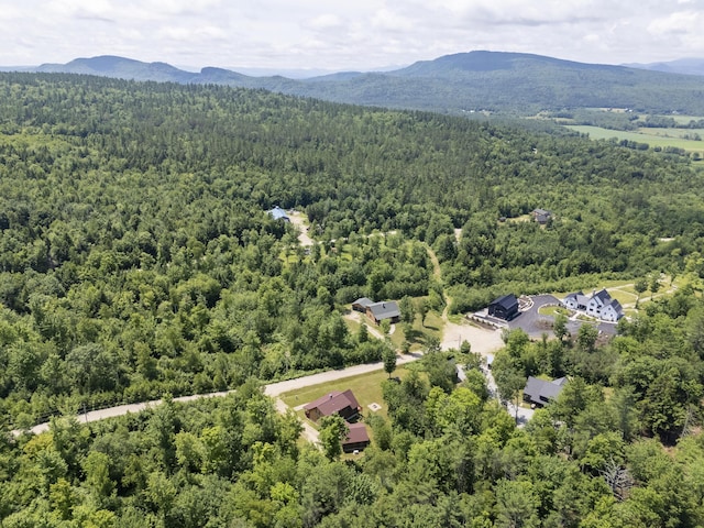 39 Katie View Rd, Bethel, ME 04217 - photo 89