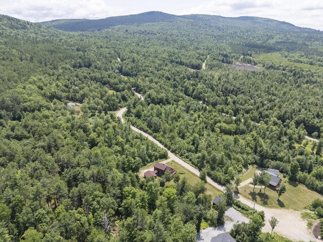 39 Katie View Rd, Bethel, ME 04217 - photo 90