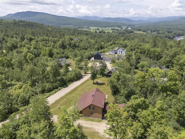 39 Katie View Rd, Bethel, ME 04217 - photo 92