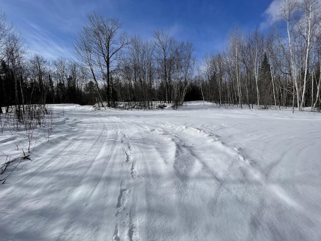 L89 Foster Hill Rd, Freeman Twp ME, 04983 land for sale