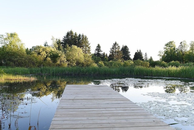 dock area with a water view