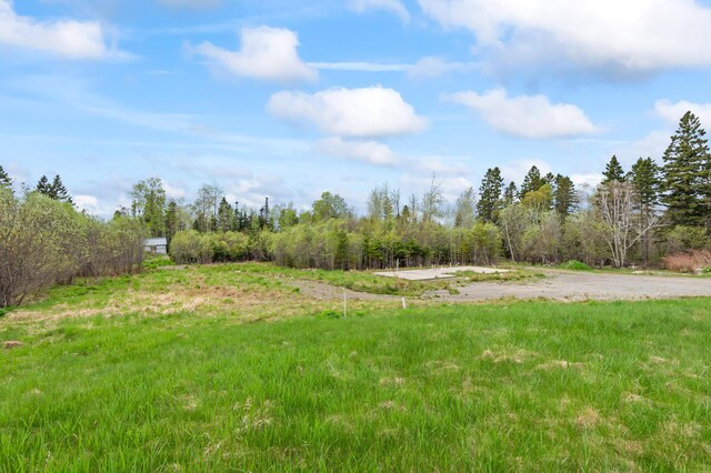 2342 Main St, Rangeley, ME 04970 - view of yard