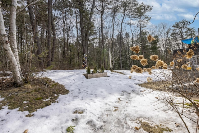 view of snow covered land featuring a forest view