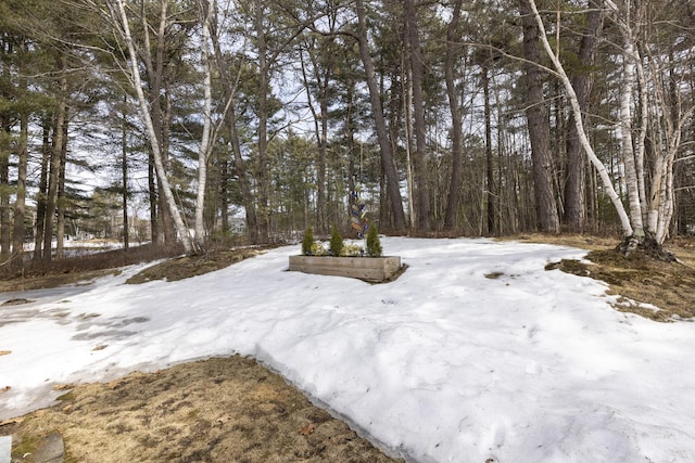 yard layered in snow featuring a view of trees