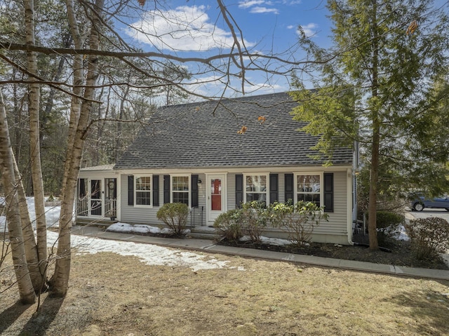 cape cod-style house with roof with shingles