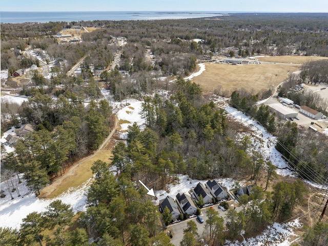 drone / aerial view with a wooded view