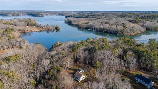 birds eye view of property with a view of trees and a water view