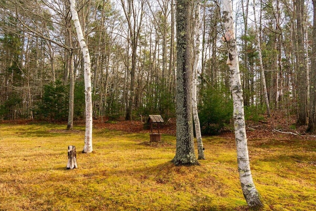 view of yard with a forest view