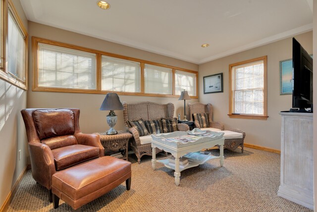 living room featuring light colored carpet and baseboards