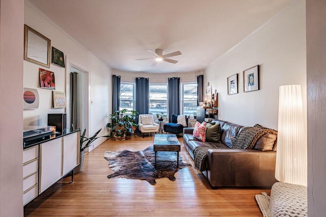 living room with light wood-type flooring, a ceiling fan, and ornamental molding