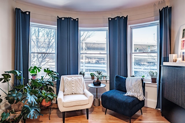 sitting room with wood finished floors and a wealth of natural light