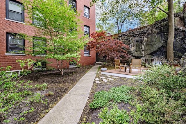 view of yard featuring a patio area