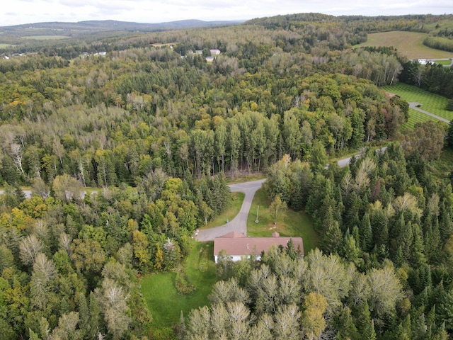 bird's eye view with a forest view