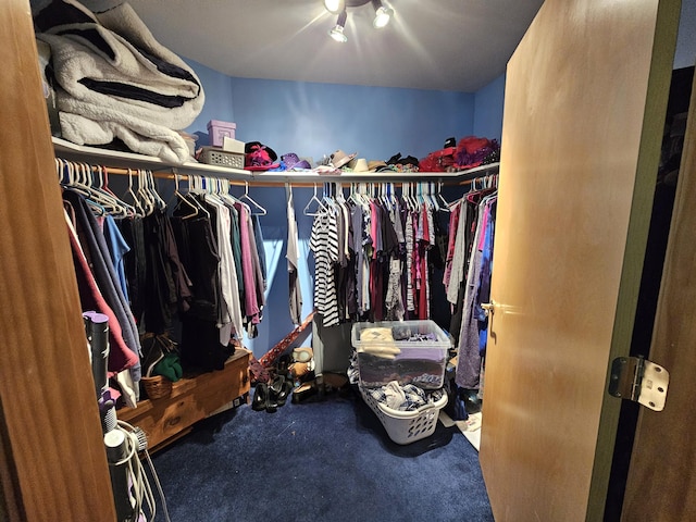 spacious closet with carpet