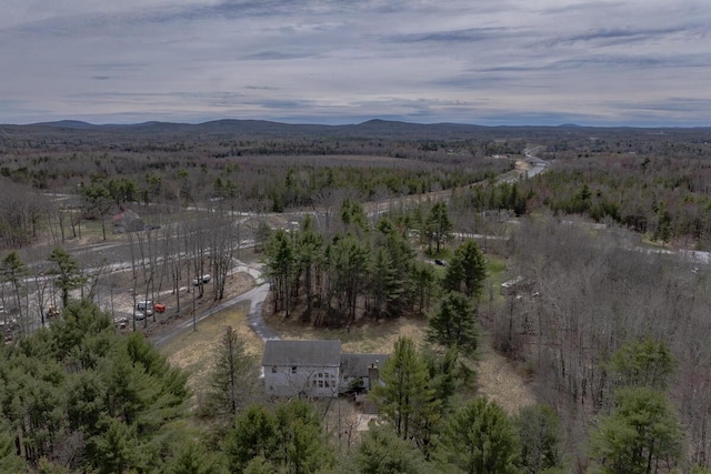 drone / aerial view featuring a wooded view and a mountain view