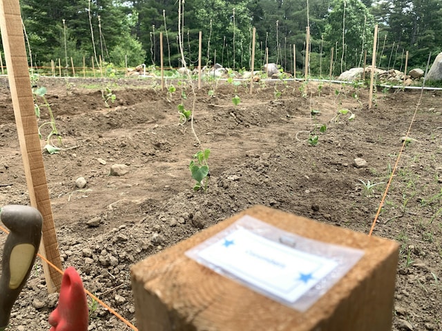 286 Lexington Rd, Kingfield, ME 04947 - exterior view of a vegetable garden