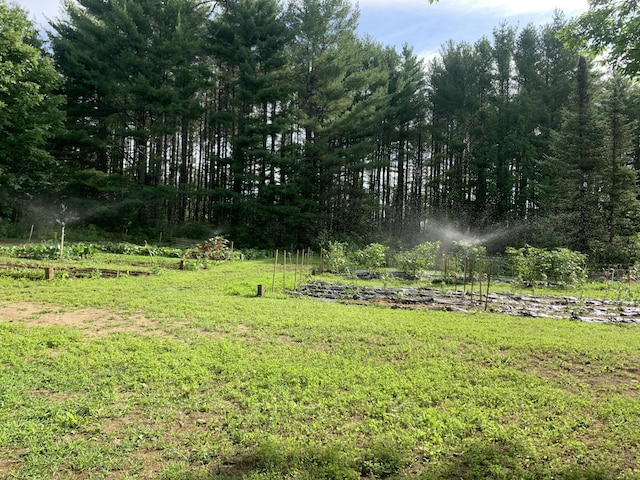 286 Lexington Rd, Kingfield, ME 04947 - view of yard