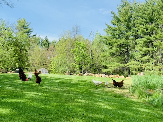286 Lexington Rd, Kingfield, ME 04947 - view of property's community featuring a lawn