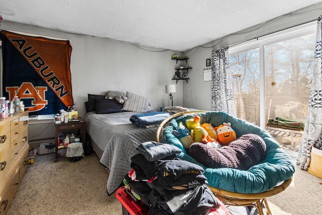 carpeted bedroom with a textured ceiling