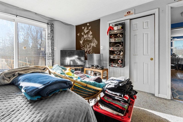 view of carpeted bedroom