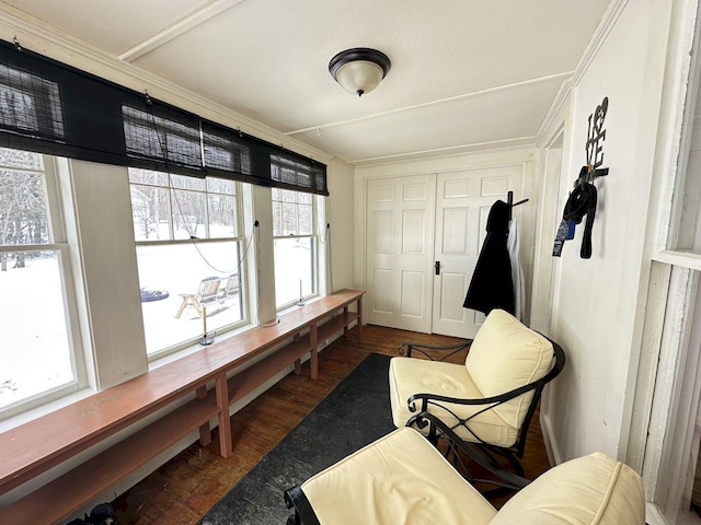 interior space with plenty of natural light and wood finished floors