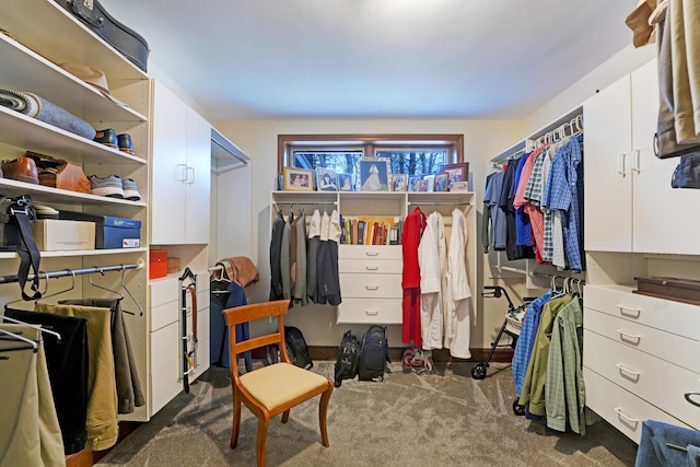 189 Mills Rd, Kennebunkport, ME 04046 - spacious closet with dark colored carpet