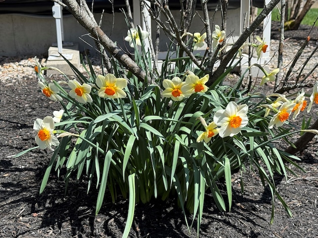 189 Mills Rd, Kennebunkport, ME 04046 - view of details