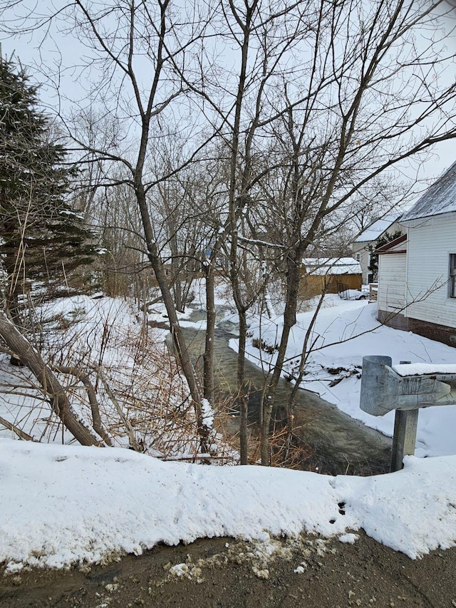 view of yard covered in snow