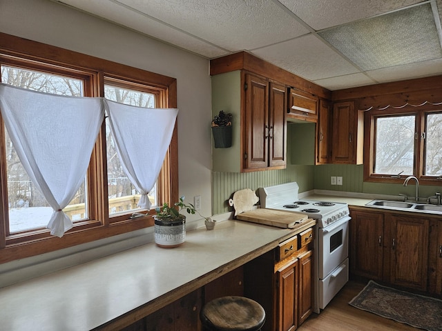 kitchen with light wood-style flooring, a sink, light countertops, a paneled ceiling, and white range with electric stovetop