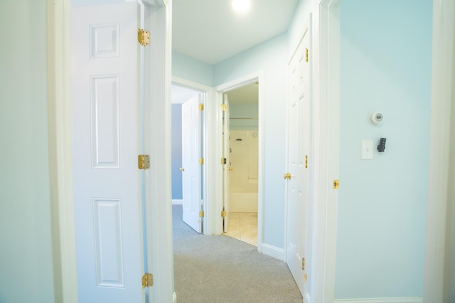 hallway with carpet