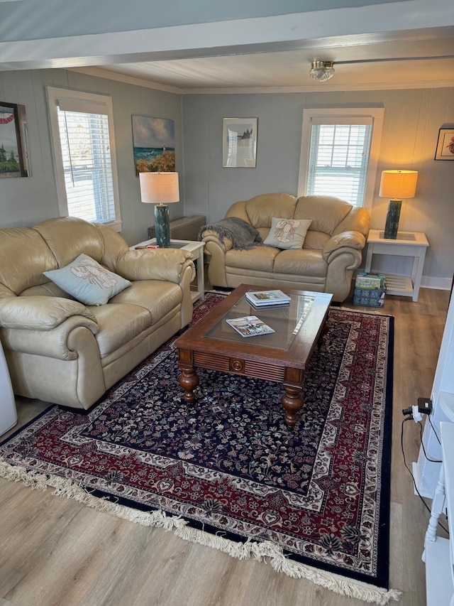 living room with wood finished floors and ornamental molding