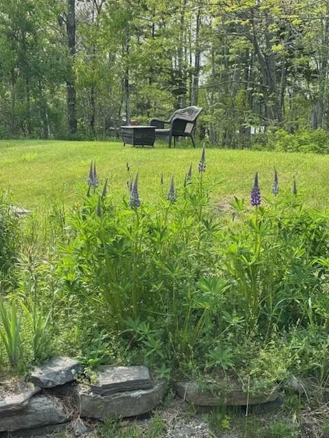 2782 Atlantic Hwy, Lincolnville, ME 04849 - photo 19