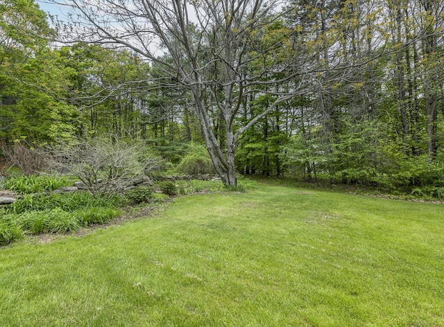 598 Walnut Hill Rd, North Yarmouth, ME 04097 - view of green lawn