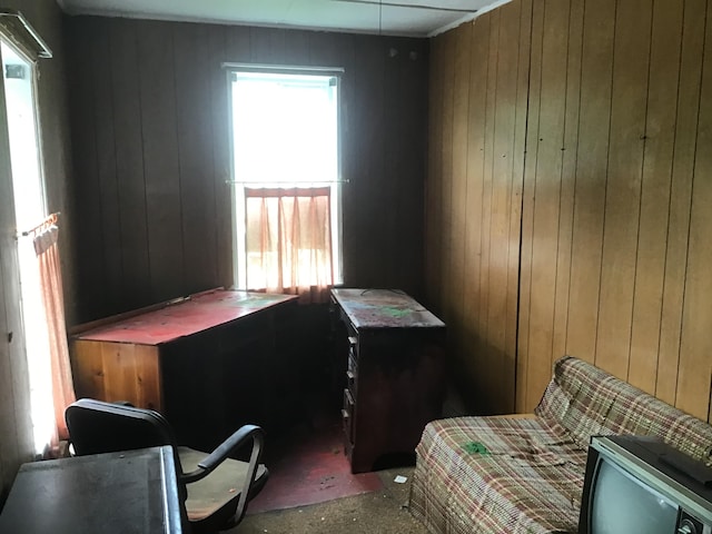 office with a wealth of natural light and wooden walls