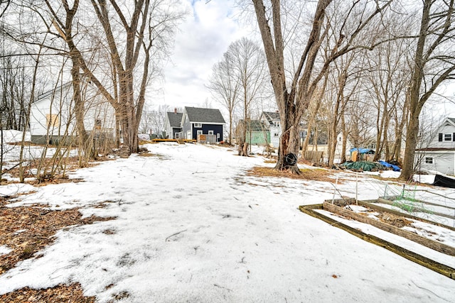 view of yard layered in snow