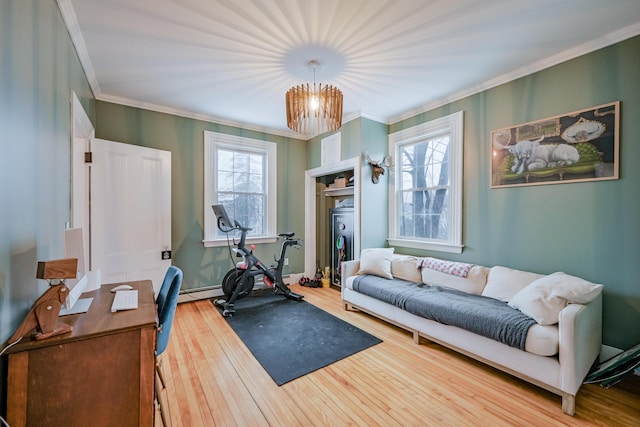 exercise room featuring hardwood / wood-style flooring and ornamental molding