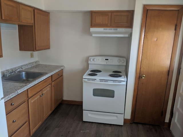 kitchen with under cabinet range hood, white electric range, a sink, brown cabinetry, and dark wood-style flooring