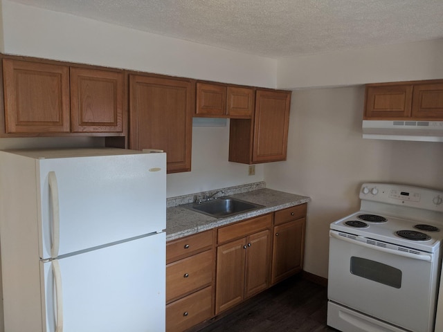 kitchen with under cabinet range hood, white appliances, brown cabinets, and a sink